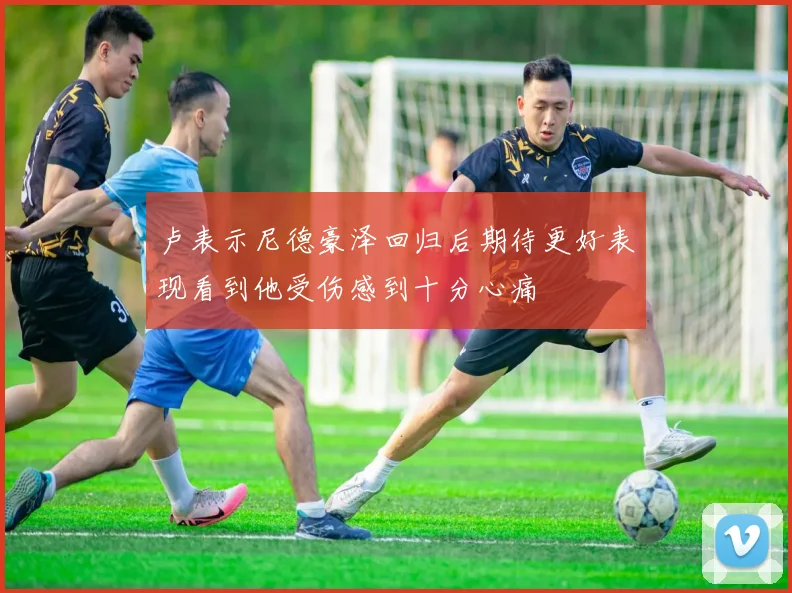 卢表示尼德豪泽回归后期待更好表现看到他受伤感到十分心痛